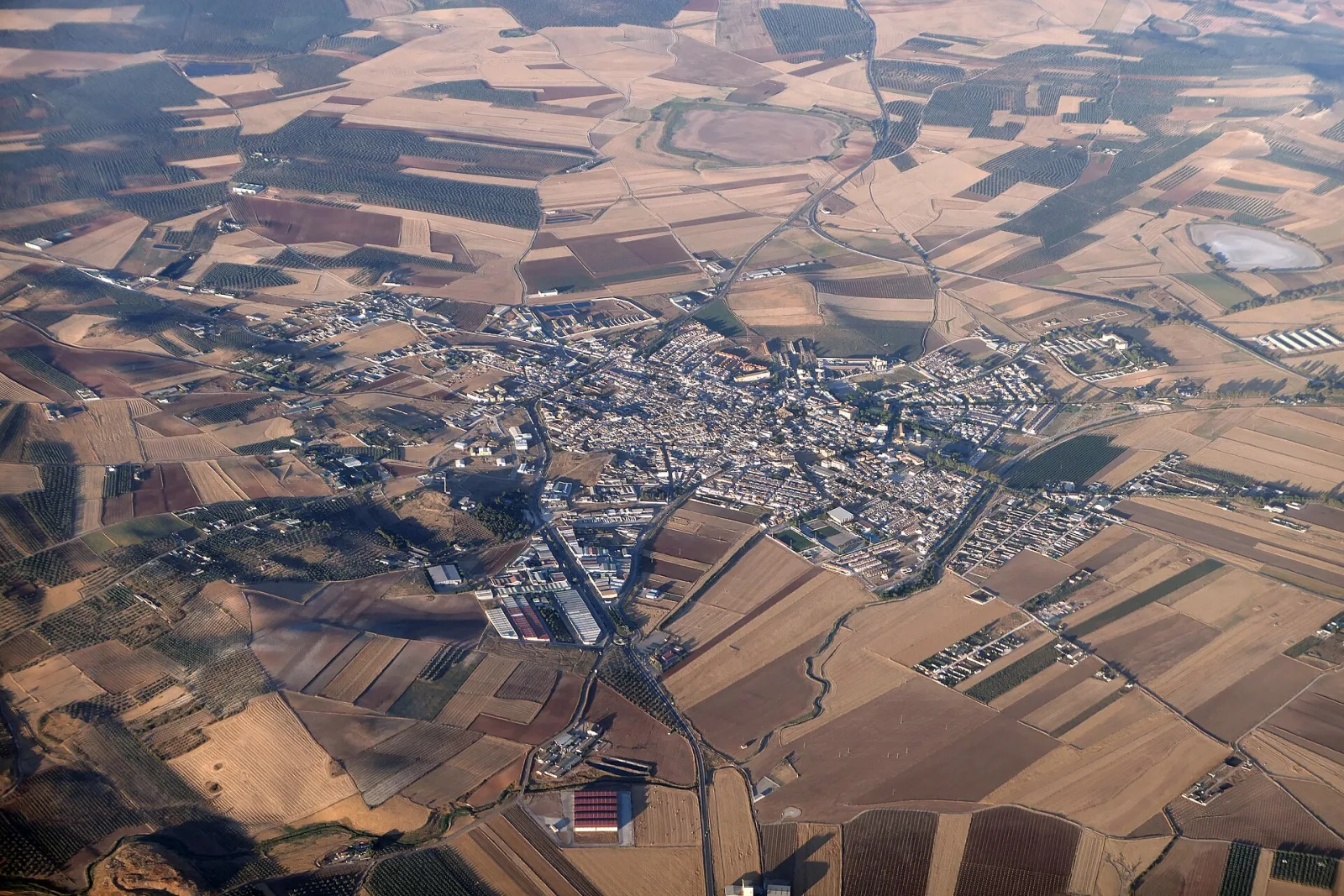 Aerial view of Campillos among farmland