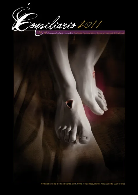Portada de El Consiliario 2011