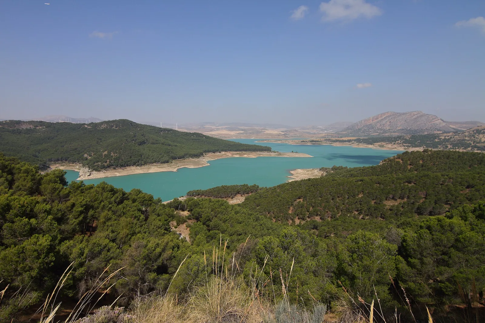 Guadalteba reservoir surrounded by pine woodland